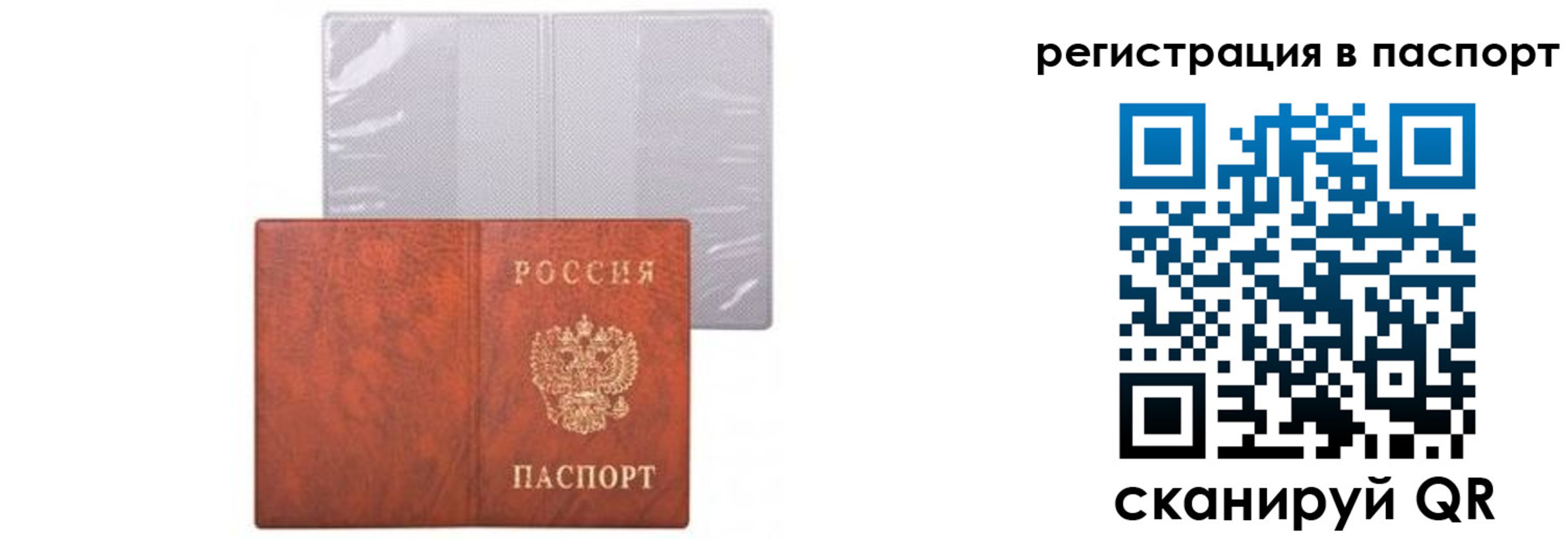 прописка ребенка в Сухиничи